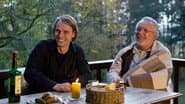 Серія 11