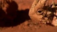 Desert Heart