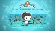 Octonauts and the Yellow Bellied Sea Snakes