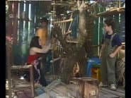 Серія 12