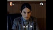 Серія 13