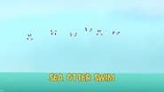 Sea Otter Swim