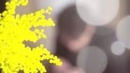 Серія 3