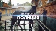 Серія 11