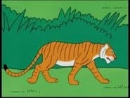 India - Tiger
