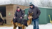 Серія 4
