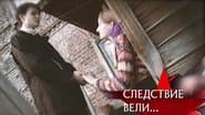 Серія 29