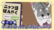 Night 77: Talking with Kyuru-chan