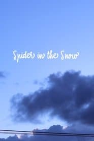 Spider in the Snow