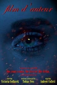 film d'auteur