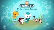 The Mimic Octopus