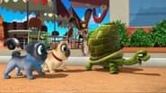 Desert Pups