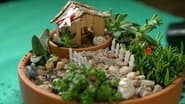 Episode 31 Bird Box; Habitat, Miniature Garden & Compost