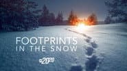 Footprints in the Snow