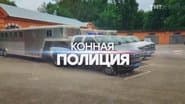 Серія 8