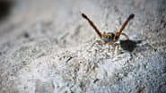 Серія 1