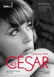Сезон 43