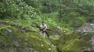 Honduran Hell