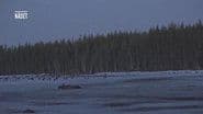 Серія 21