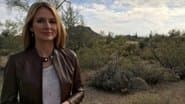 Deception in the desert