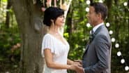 The Wedding