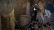 Africa: Voices of the Forest