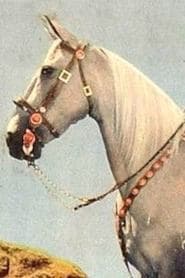 Tarzan - Ken's Horse