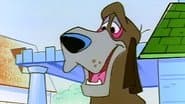 Scent of a Mutt