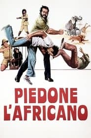 Piedone l'africano