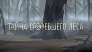 Серія 23