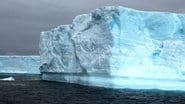 Fate of Antarctica