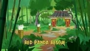 Red Panda Rescue