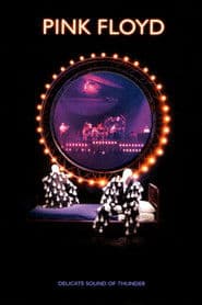 Pink Floyd: Delicate Sound of Thunder