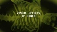Visual Effects Of Bones