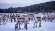 The Land of the Snow and Ice