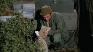 Private Charles Lamb