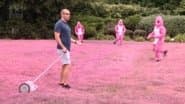 Pity in Pink