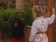 Too Much Monkey Business