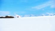 Hills of Biei in Winter