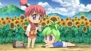 Bin and Her Friends: Aloe