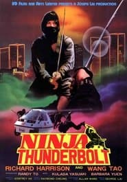 至尊神偷