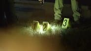 Серія 25
