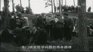 Серія 49