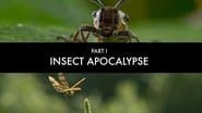 Insect Apocalypse?