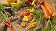 CARROT