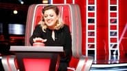 The Blind Auditions, Part 4