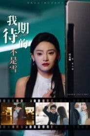 我期待的不是雪