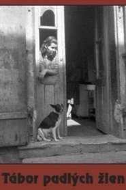 Camp of Fallen Women