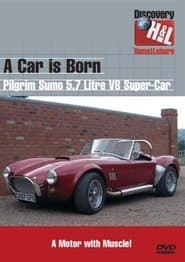 A Car Is Born: AC Cobra Pilgrim Sumo 5.7 V8 Super Car