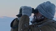 The North Slope